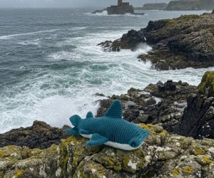 Untitled design - 2026-02-11T112656.868